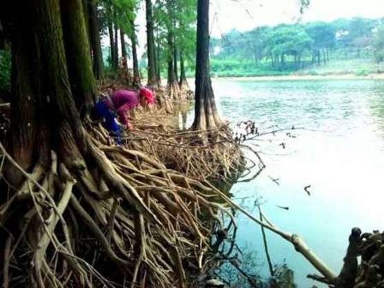 南宁附近的农家乐有哪些,南宁陈家大院农家乐大全