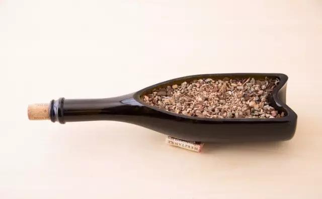 红酒瓶与多肉,玻璃瓶与多肉的邂逅