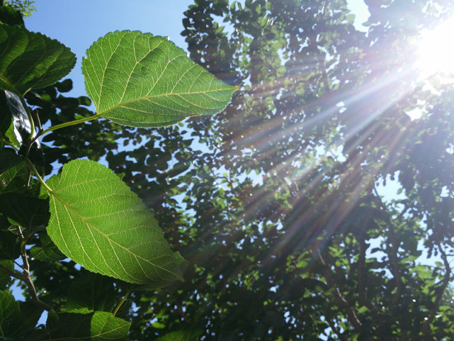 小米max一款超大手机,小米max和小米max2性能测评