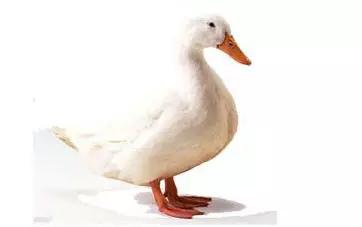 怎样才有南通户口,南通城市户口政策