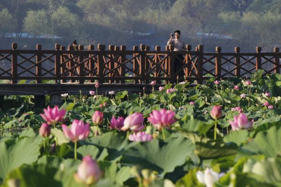 临朐人真实感受,临朐人看寿光