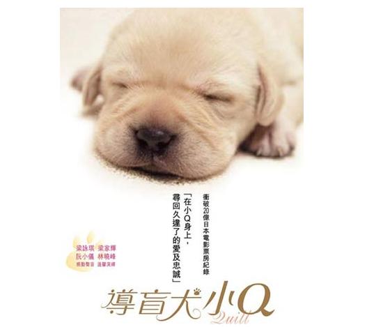 导盲犬小q动漫片影评,导盲犬小q电影总结
