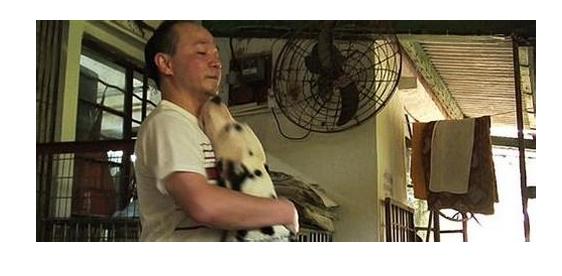 导盲犬小q动漫片影评,导盲犬小q电影总结