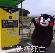 京东白条和蚂蚁花呗分期哪个好,京东白条和花呗哪个分期买手机好