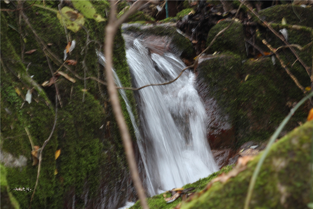 神鸡鸣瑞鸡峰插云——宝鸡鸡峰山景区