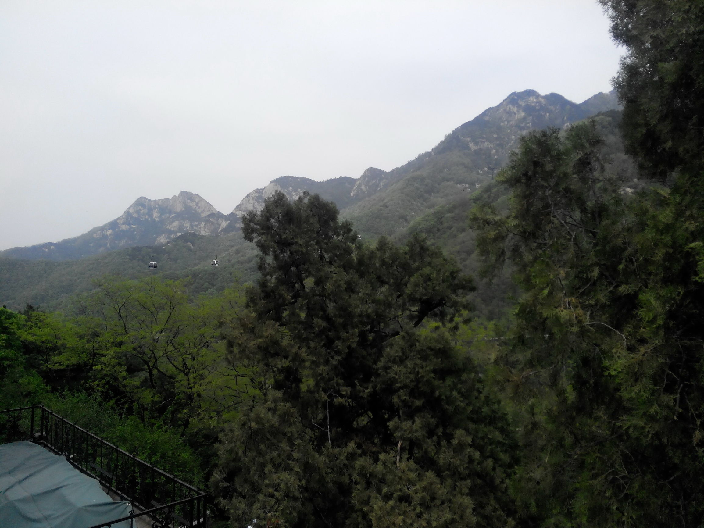 天津去泰山自由行攻略,天津泰山旅游攻略自助游