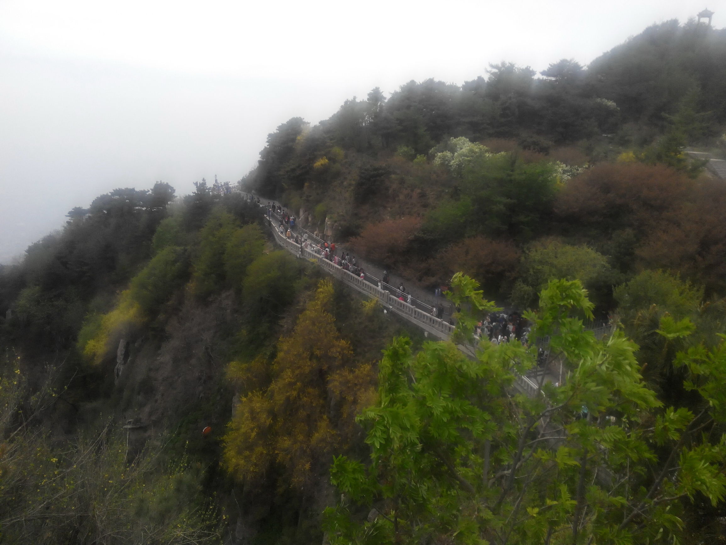 天津去泰山自由行攻略,天津泰山旅游攻略自助游