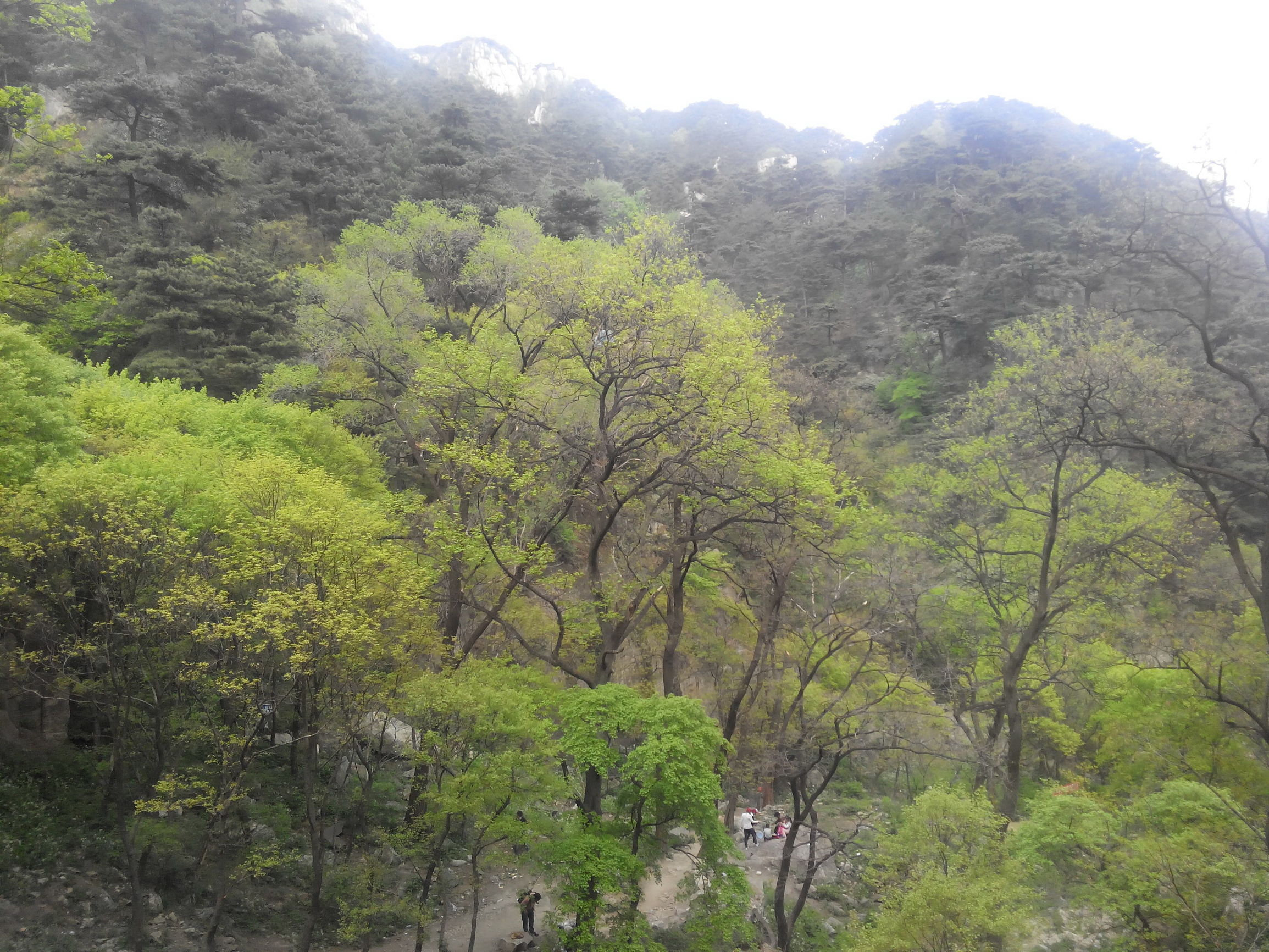 天津去泰山自由行攻略,天津泰山旅游攻略自助游