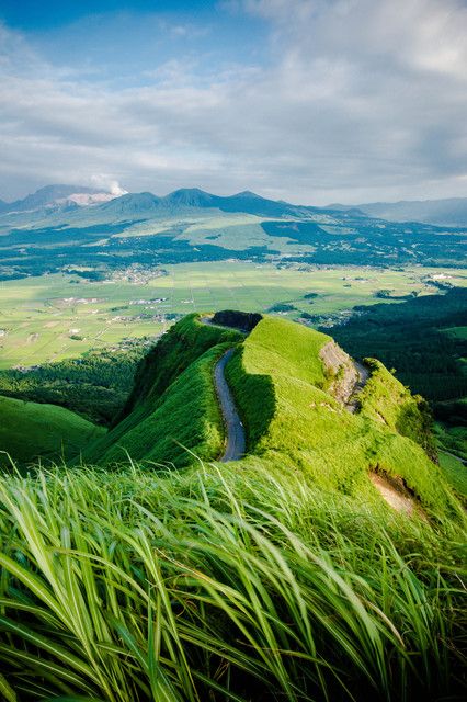 熊本熊长大后的样子,四只熊本熊图片