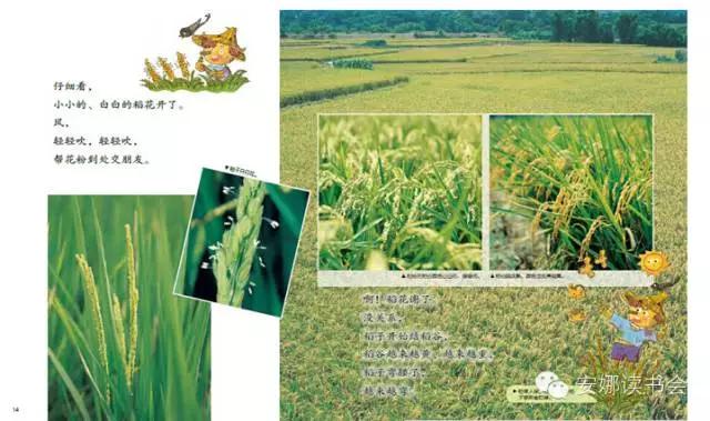 幼儿科普书籍,儿童科普绘本启蒙书