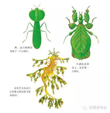 幼儿科普书籍,儿童科普绘本启蒙书