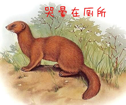 东北异闻2:自杀女孩偶遇“封正”巨蛇,论从蛇到龙的打开方式