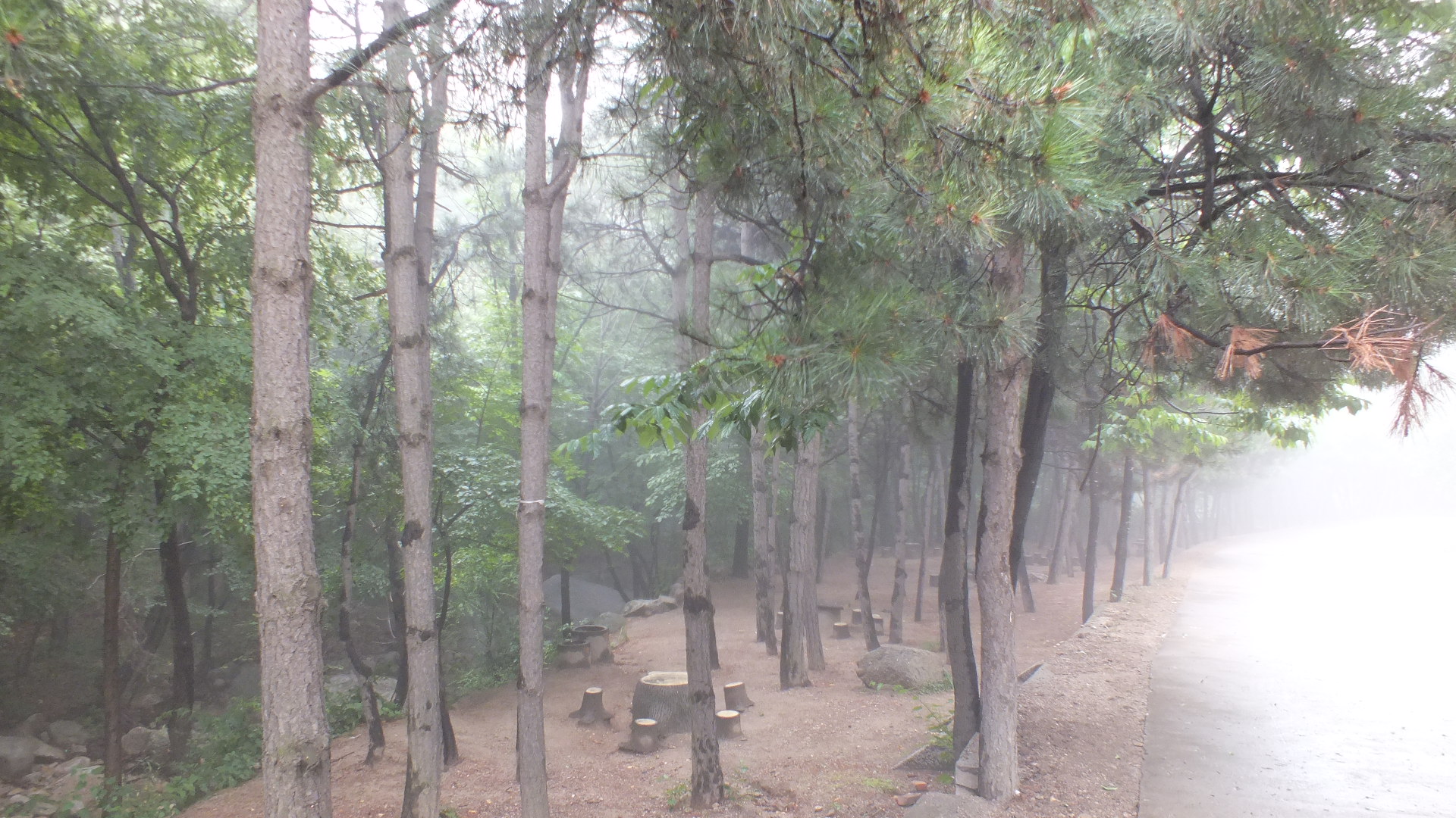 雨中的长白山美景描写,雨中天池