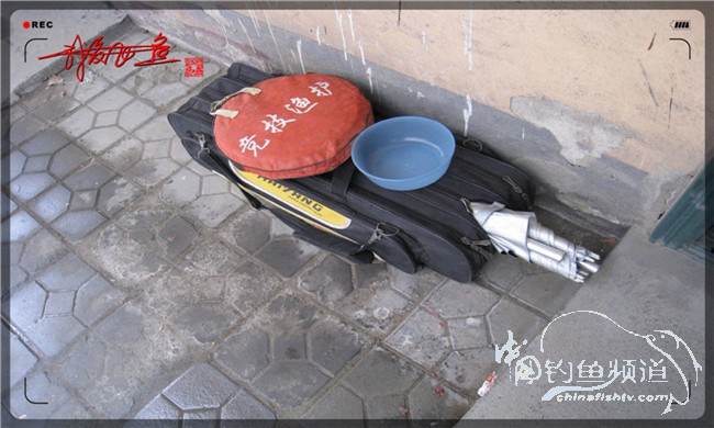 风雨无阻之我爱飞鱼去‘*欢寻**’!