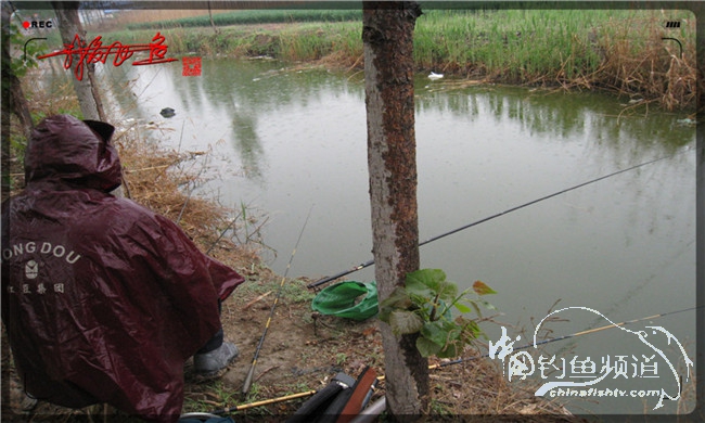 风雨无阻之我爱飞鱼去‘*欢寻**’!