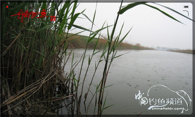 风雨无阻之我爱飞鱼去‘*欢寻**’!