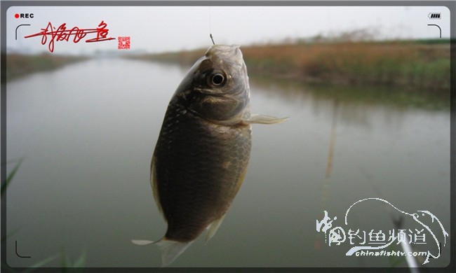 风雨无阻之我爱飞鱼去‘*欢寻**’!