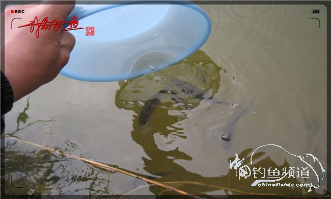 风雨无阻之我爱飞鱼去‘*欢寻**’!