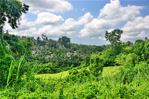 巴厘岛和我想象中的不一样,巴厘岛简直是人间天堂