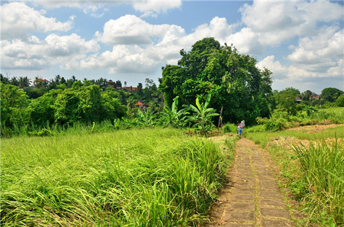 巴厘岛和我想象中的不一样,巴厘岛简直是人间天堂