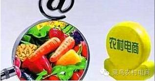 菜农叔电商培训,菜农叔