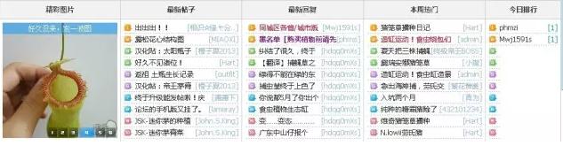 另类电商生意:把植物卖成宠物,把最冷门的做成爆款