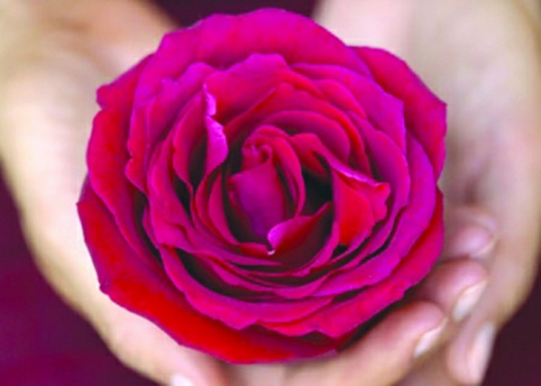 宫颈癌超声病例,宫颈癌手术病理单怎样看懂