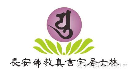 喝生普洱会肚子疼吗,喝生普洱茶饿怎么回事