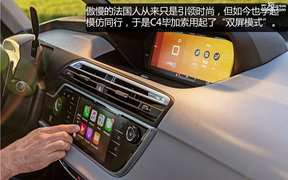 一般人欣赏不了,一般人欣赏不来的艺术花