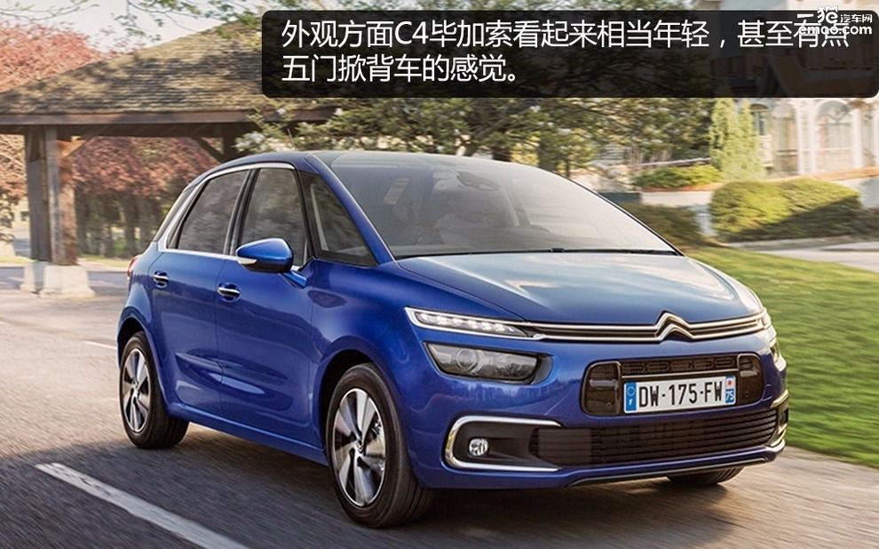 一般人欣赏不了,一般人欣赏不来的艺术花