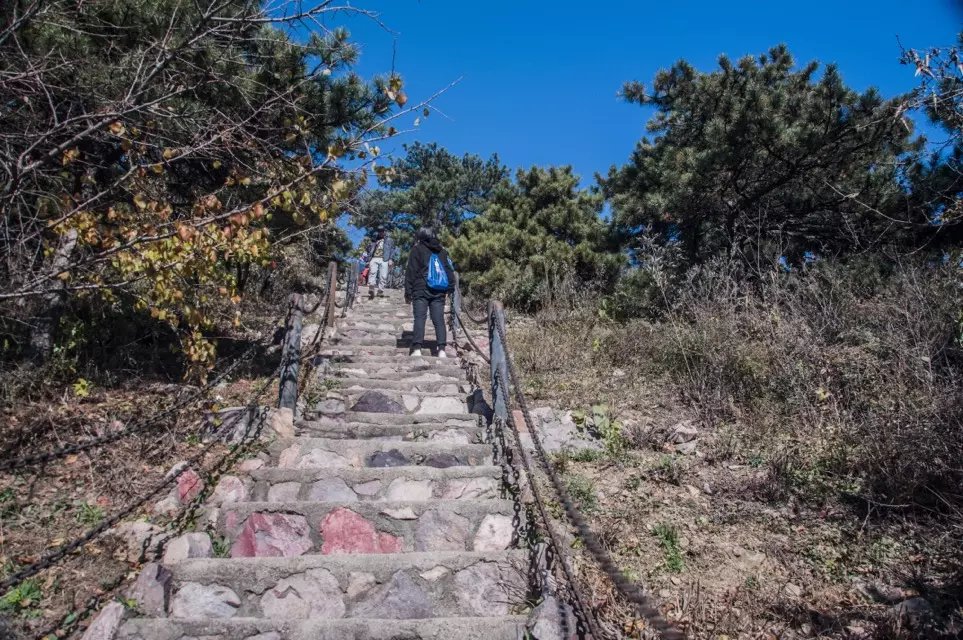 蟒山森林公园小东江,莽山森林公园萤火虫