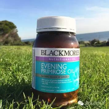 迷之月见草——那些代购不会告诉你的月见草知识全科普