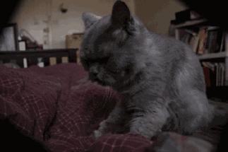 儿童节的英语表达方法,儿童节礼物英语怎么写