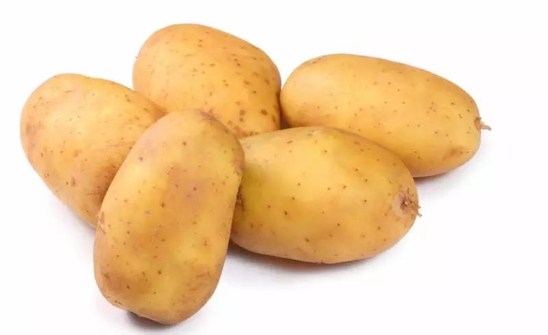 家里有蟑螂用什么方法最好灭掉,家里的蟑螂怎么消灭最快最有效