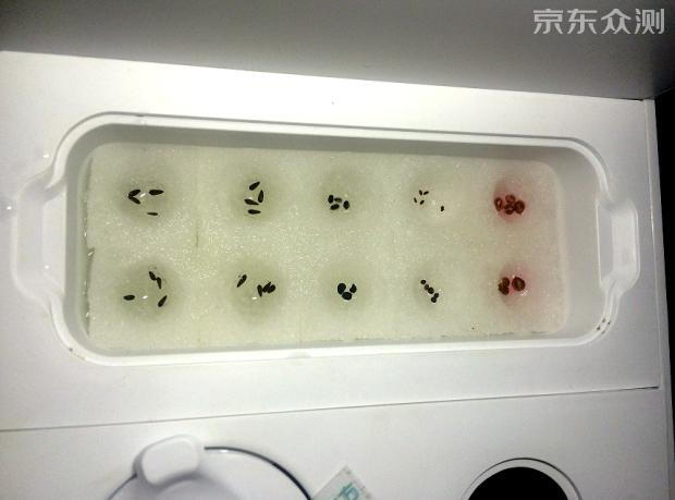 绿色环保农家小菜园,绿色无公害的自家小菜园