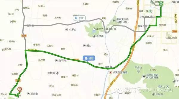 正是玫瑰盛开时,南京的玫瑰园盛开的季节是何时