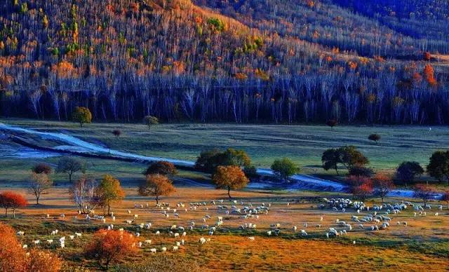 海拉尔城堡旅游攻略,海拉尔玩的地方攻略