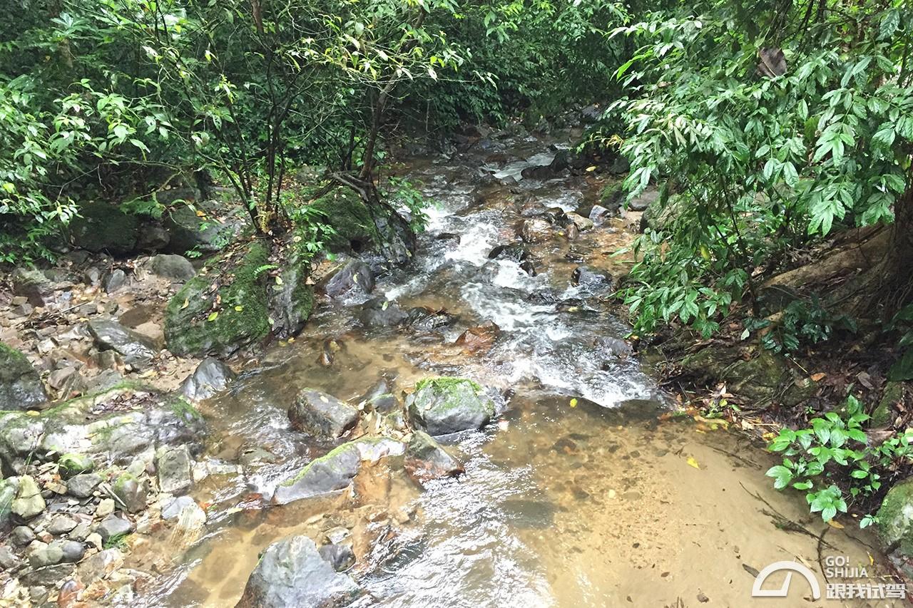 g哥参加的节目,g哥逃离塔科夫