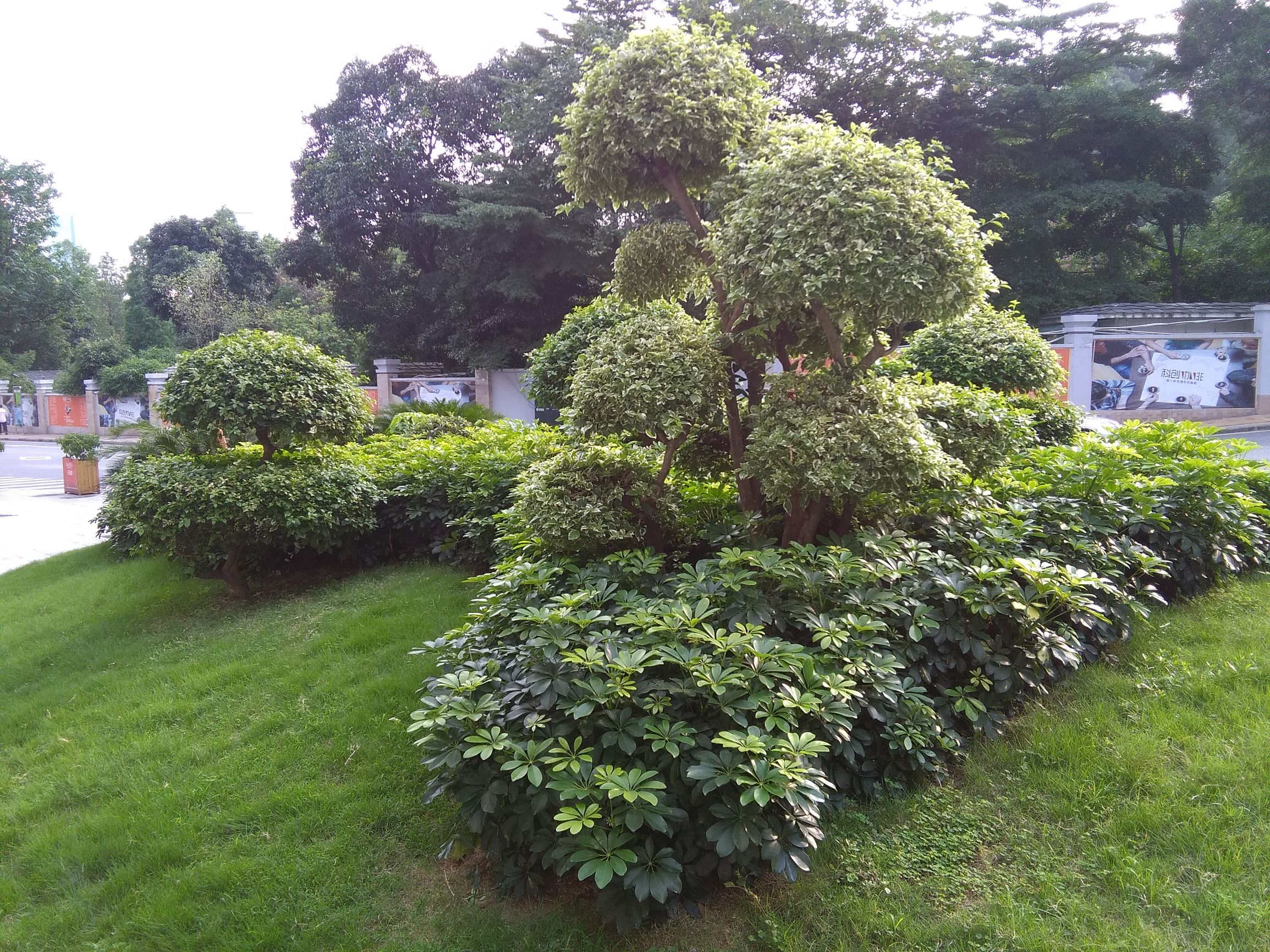 华为揽阅m210.1寸可以玩什么游戏,华为揽阅m210.1寸值得购买吗