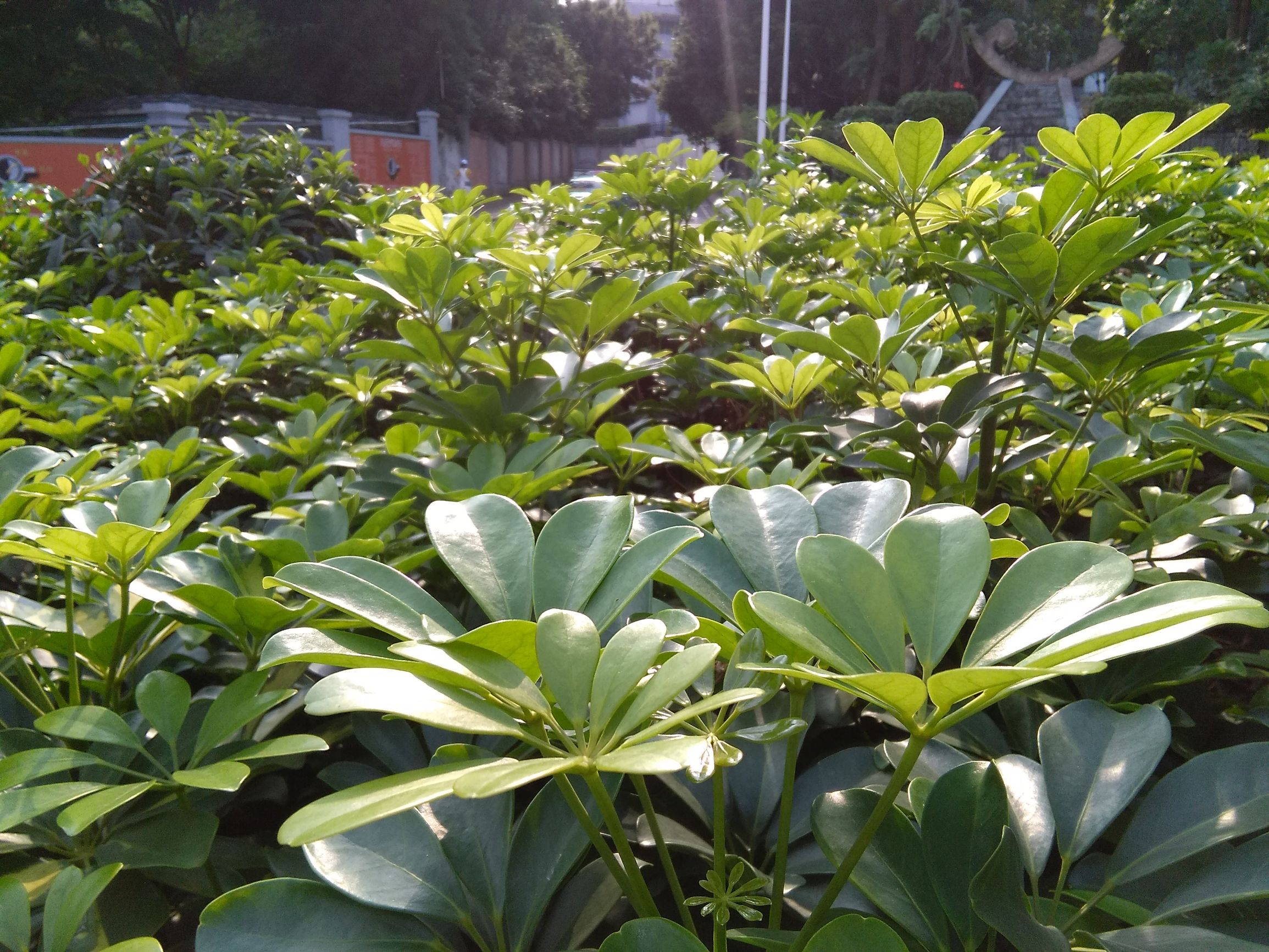 华为揽阅m210.1寸可以玩什么游戏,华为揽阅m210.1寸值得购买吗