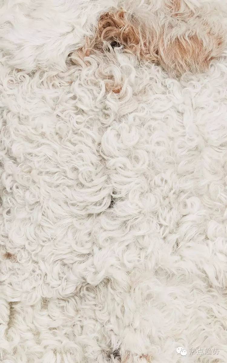 wow-trend热点趋势直播,wowtrend未来发展趋势