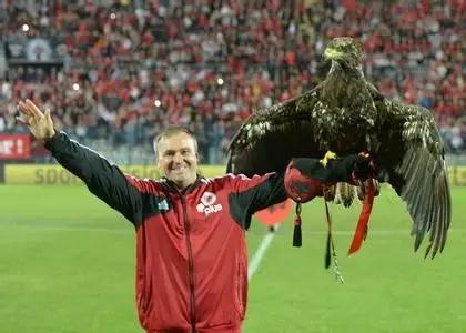 欧洲杯球服巡礼,篮球欧洲杯巡礼