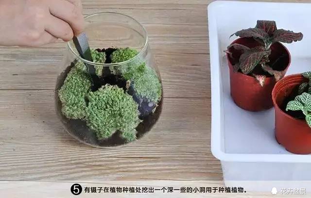 苔痕上阶绿草色入帘青妙在哪里,苔痕上阶绿草色入帘青全文