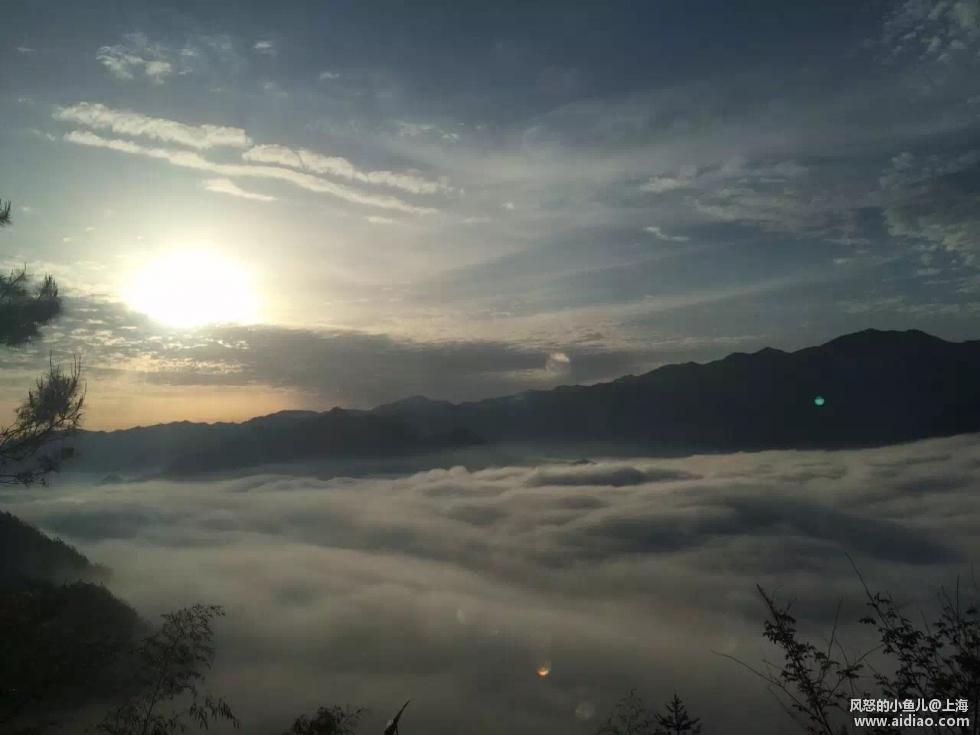 游钓太平湖视频,游钓太平湖