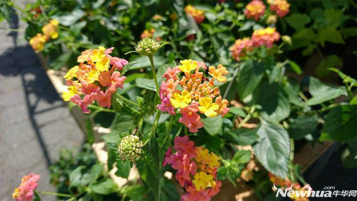 索尼xperiaxperformance评测,索尼xperia1iii和索尼xperia5ii