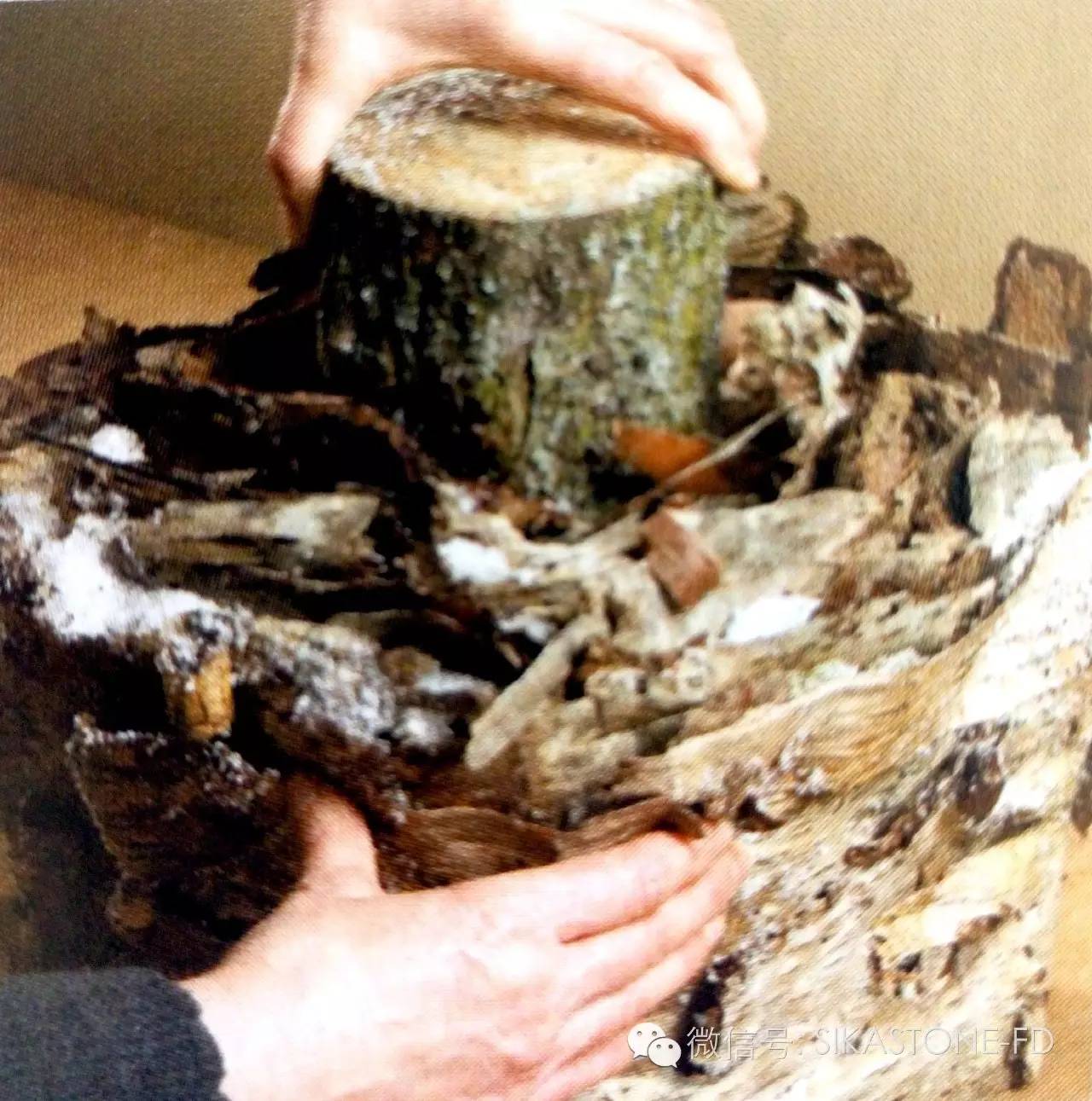 创意花艺教程简单易学,自然式花艺制作全过程