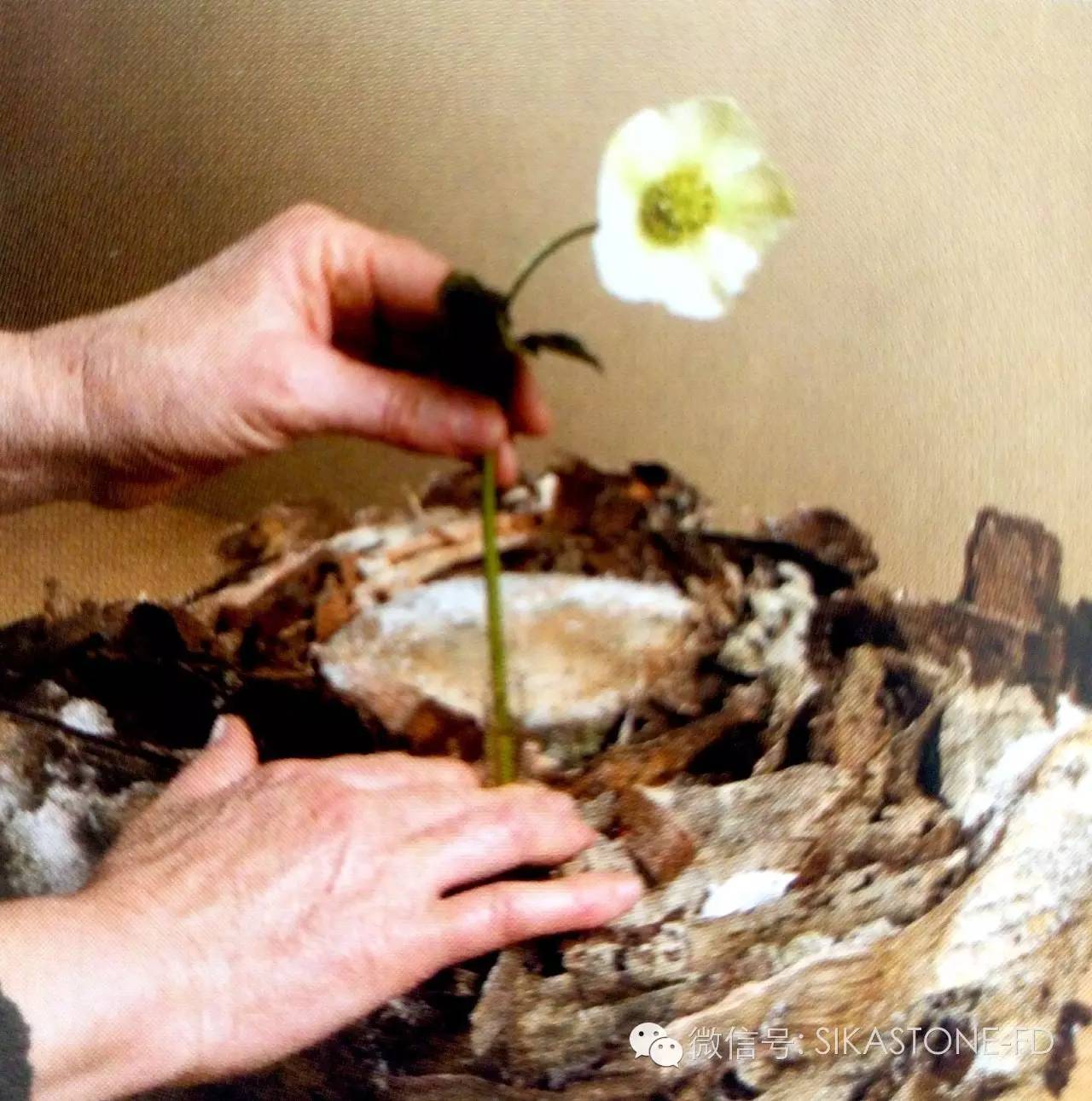 创意花艺教程简单易学,自然式花艺制作全过程