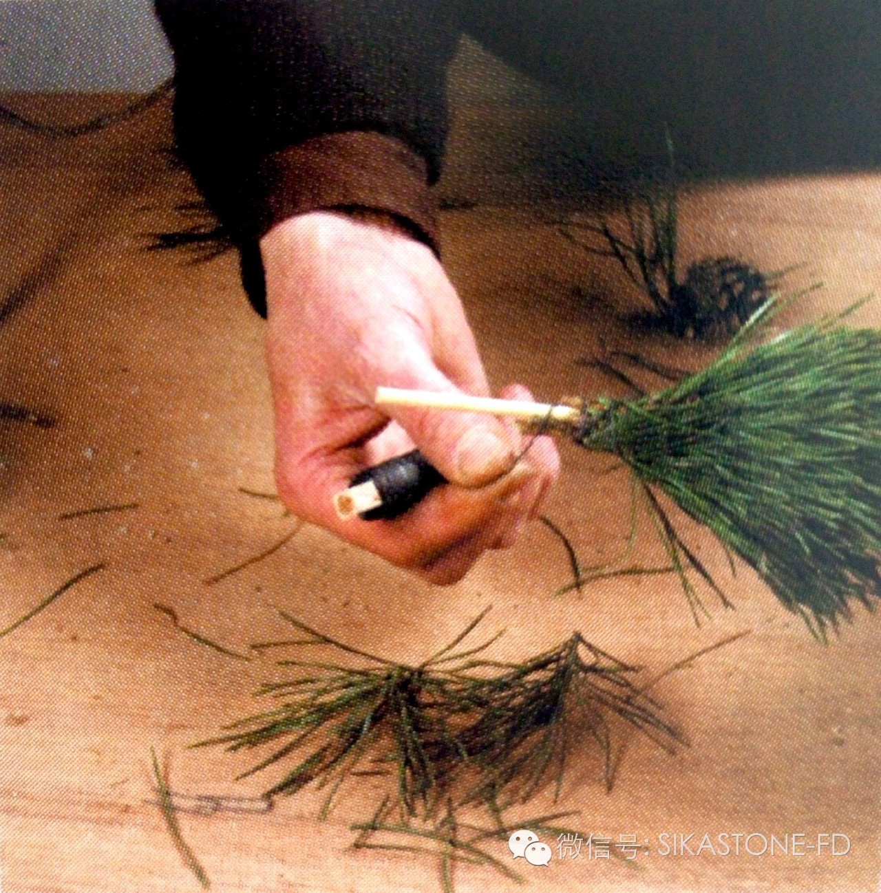 创意花艺教程简单易学,自然式花艺制作全过程