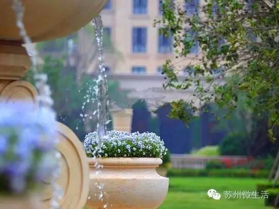 最实用的苏州酒店推荐,苏州十大必去酒店