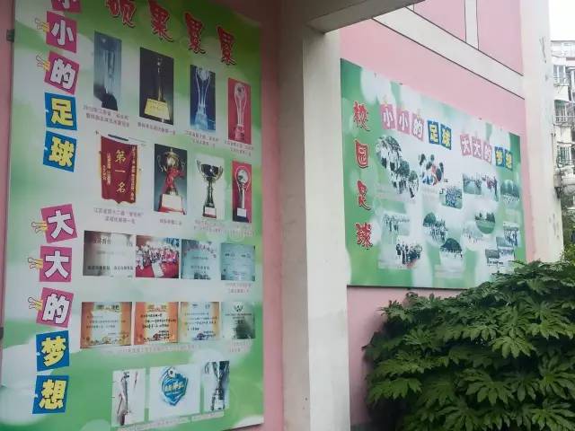 中超苏宁对阵绿城的小球童名单公布,这些萌娃们好腻害!